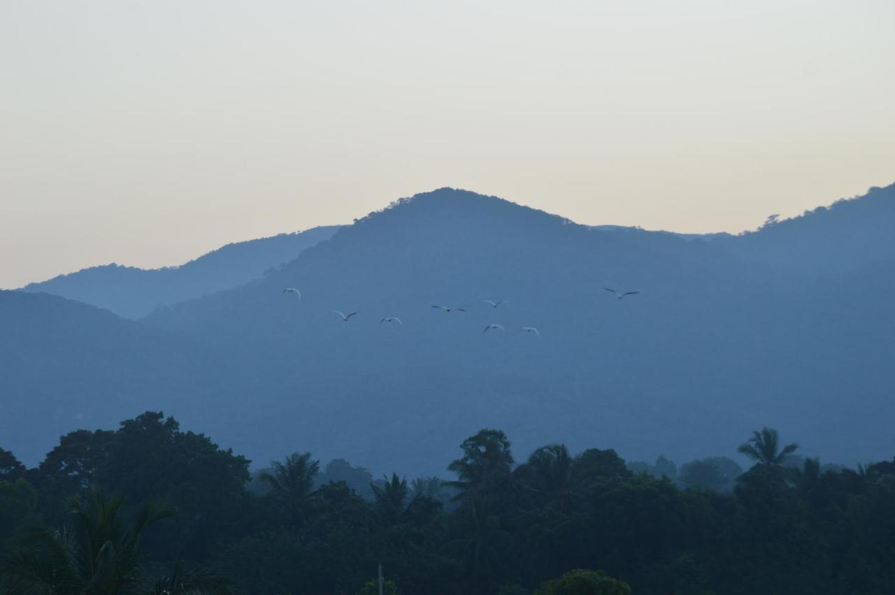 Ridge Boundary View Apartment Dambulla Bagian luar foto