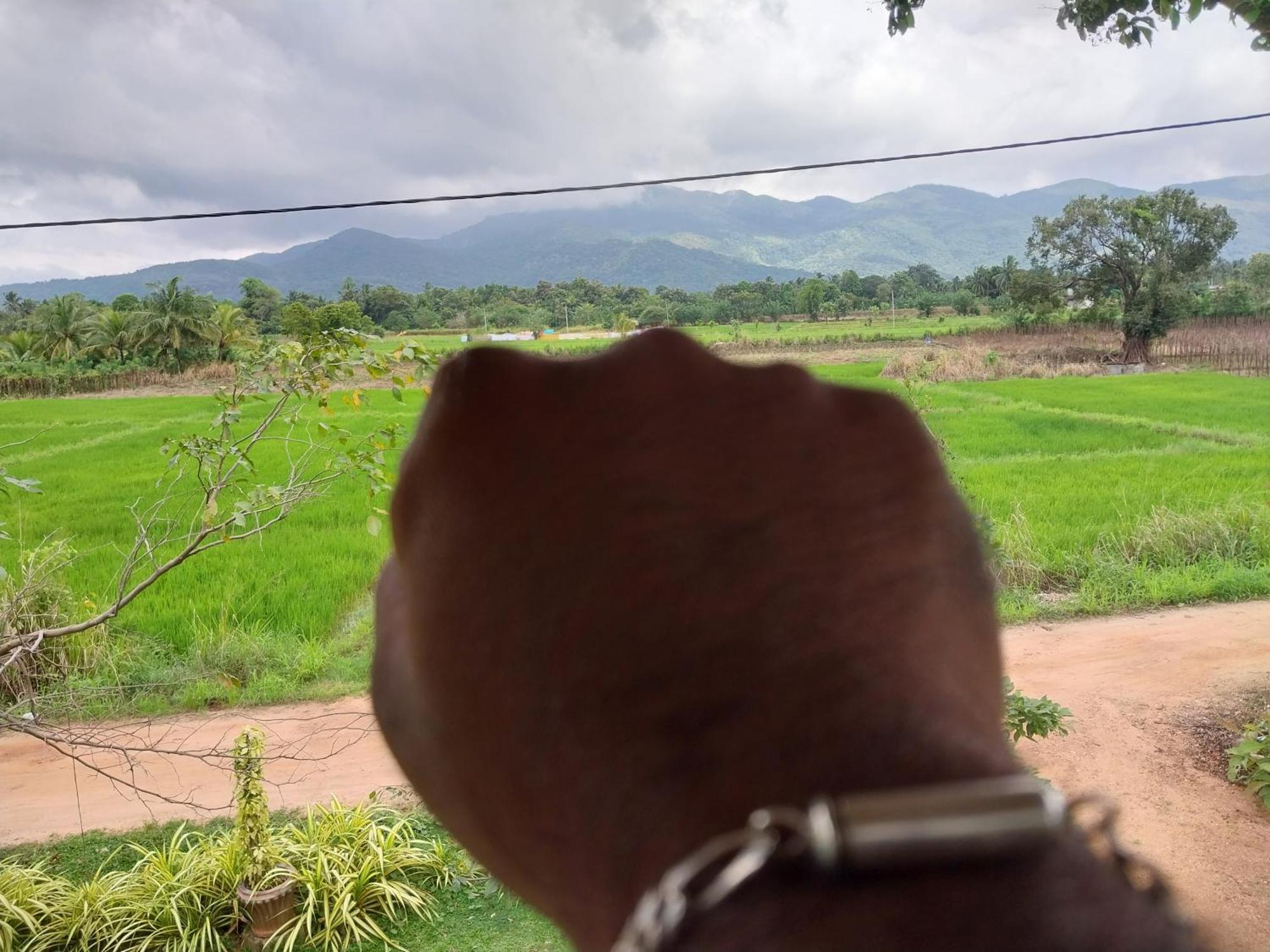 Ridge Boundary View Apartment Dambulla Bagian luar foto