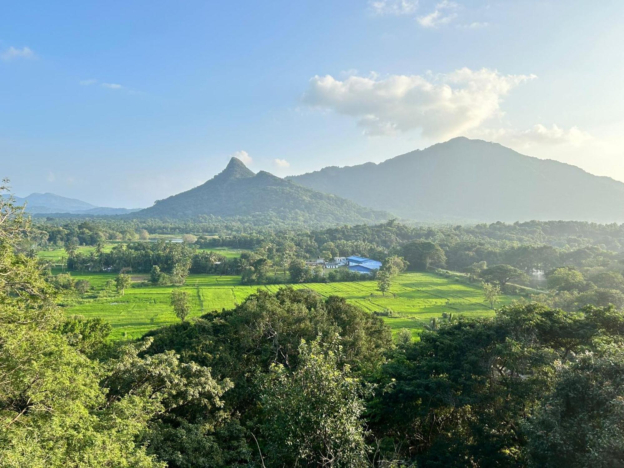 Ridge Boundary View Apartment Dambulla Bagian luar foto