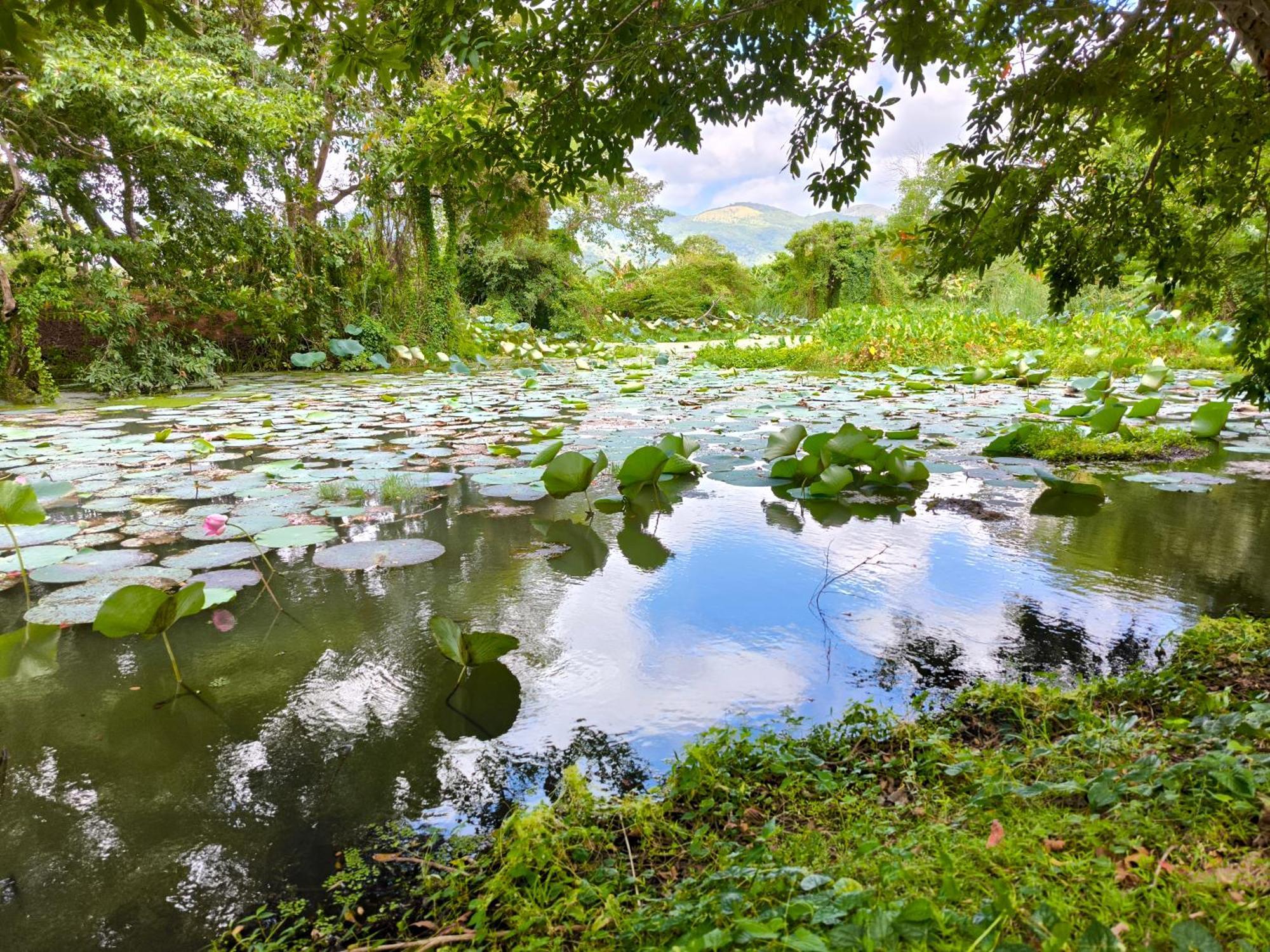 Ridge Boundary View Apartment Dambulla Bagian luar foto