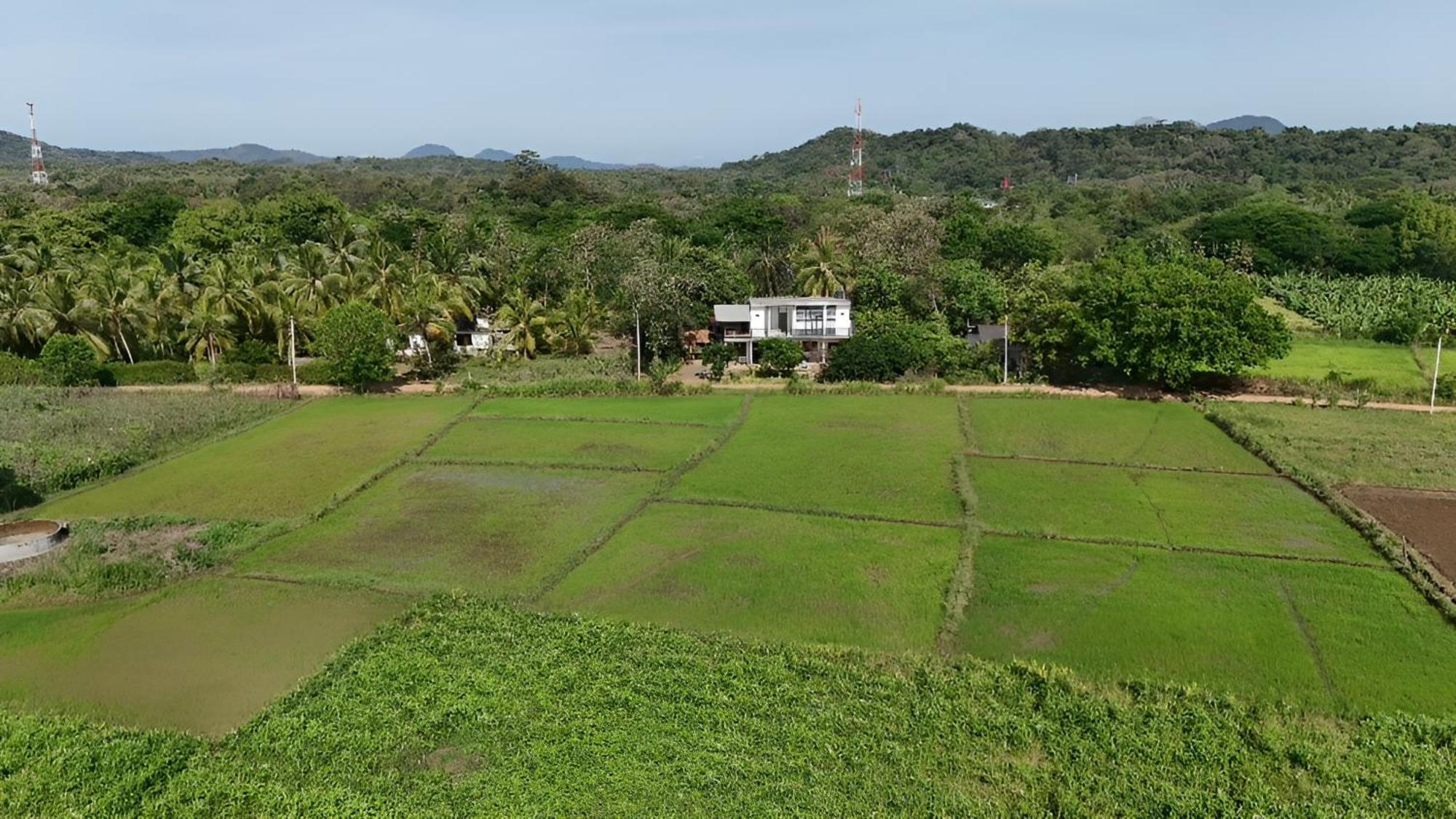 Ridge Boundary View Apartment Dambulla Bagian luar foto