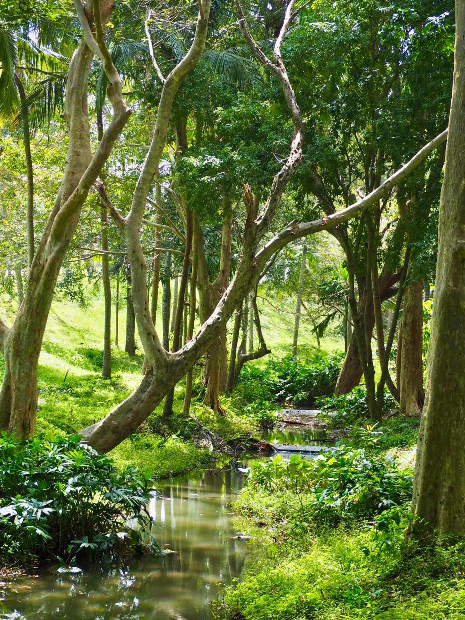 Ridge Boundary View Apartment Dambulla Bagian luar foto