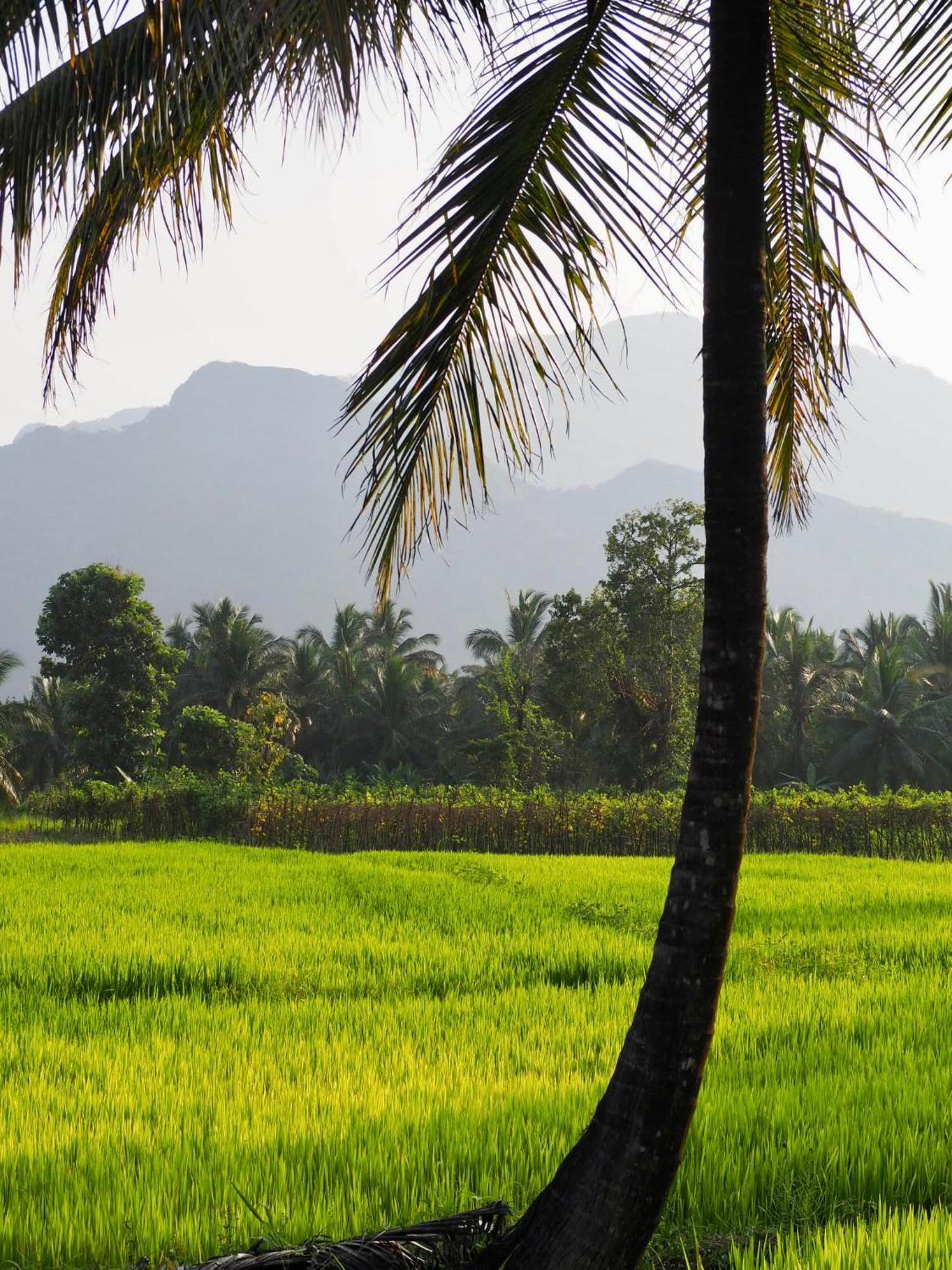 Ridge Boundary View Apartment Dambulla Bagian luar foto
